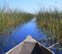 The Delta
